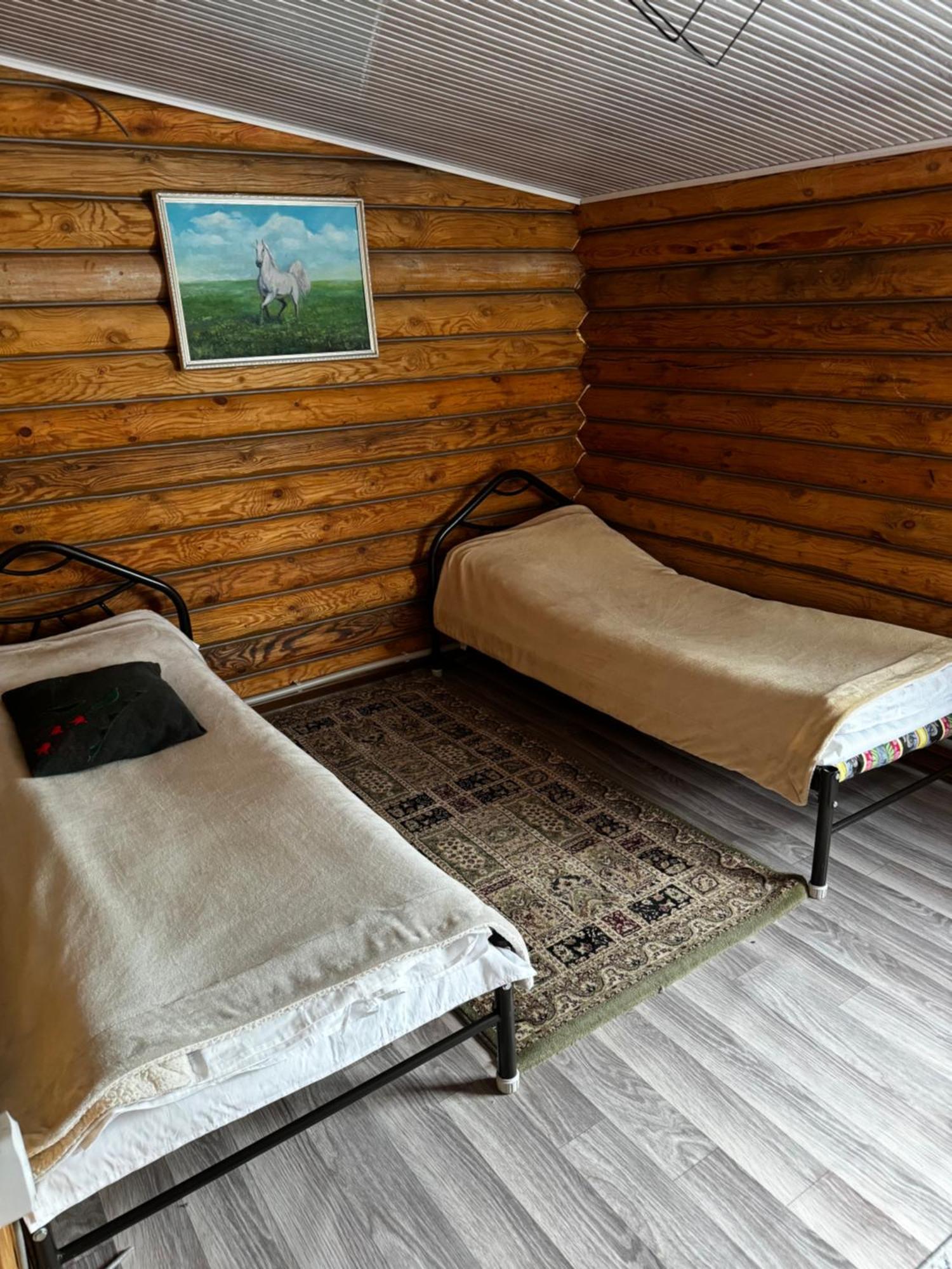 Kolsay Kazakh Village Saty Bagian luar foto